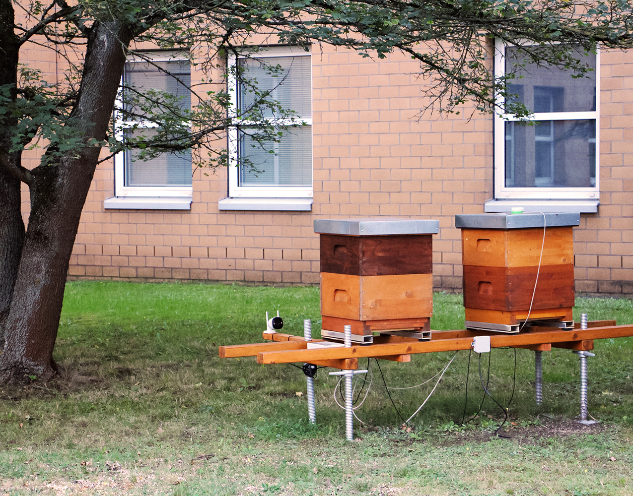 Imkerei mit KI: Zwei verdrahtete BienenstÃ¶cke auf einem Hozgestell auf einer Wiese vor einer Hauswand